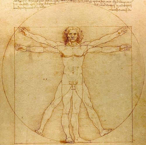 Leonardo da Vinci, “Uomo Vitruviano”