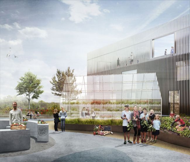 Giardini e orti personalizzano la New Island Brygge School di Copenhagen