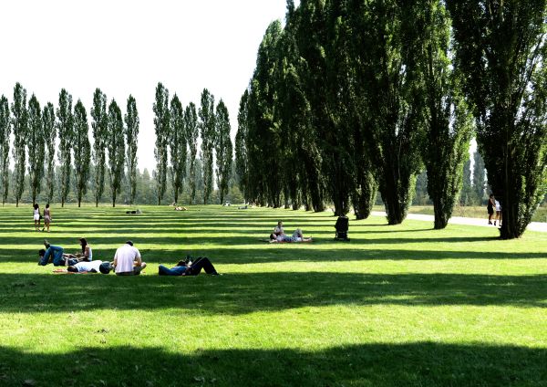 Render del grande parco urbano che sorgerà nella zona ovest di Milano