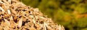Biomass Energy Report 2012