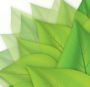 Cogenerazione distribuita da biomasse, un corso a Ferrara