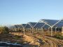 Confagricoltura chiede di sopprimere la rimodulazione obbligatoria degli incentivi al fotovoltaico