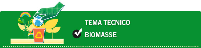 Biomasse