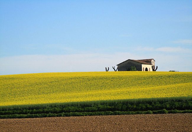 Le Regioni padane unite contro l’inquinamento ambientale 1