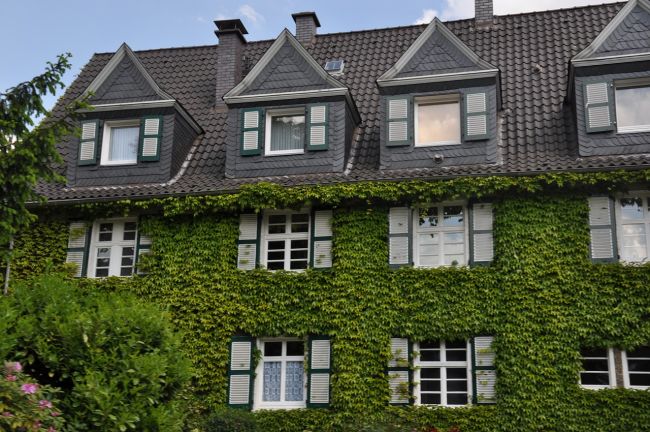 Il giardino verticale: caratteristiche e benefici ambientali Giardino in verticale