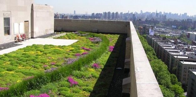 Il tetto verde è una soluzione che coniuga design e funzionalità