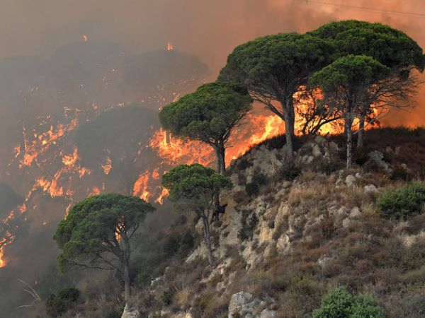 Incendio nel Sud Italia