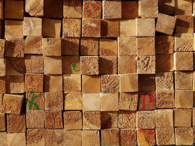FSC è un marchio che certifica la provenienza del legno