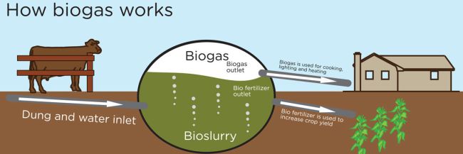 Funzionamento impianto biogas