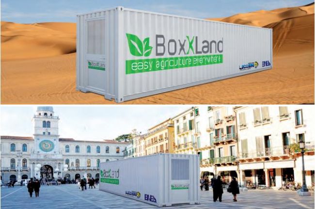 BoxXLand sistema per l'agricoltura verticale in container di Enea