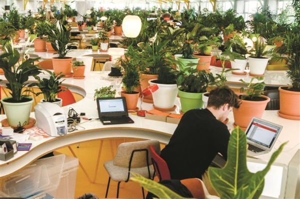 Tante piante inserite nello spazio di lavoro Second Home a Lisbona