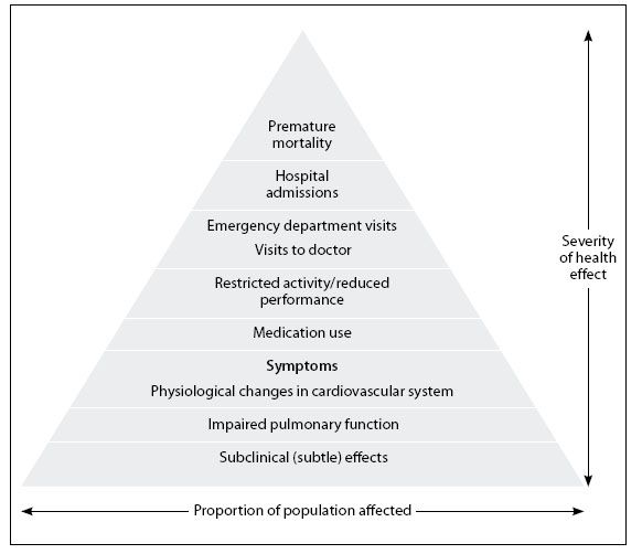 schema a piramide per rappresentare la gravità degli effetti dell'inquinamento sulla salute