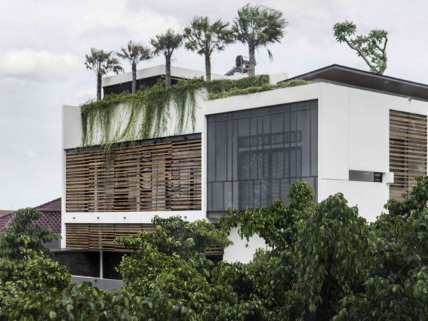 Casa green di Jakarta che utilizza piante e legno