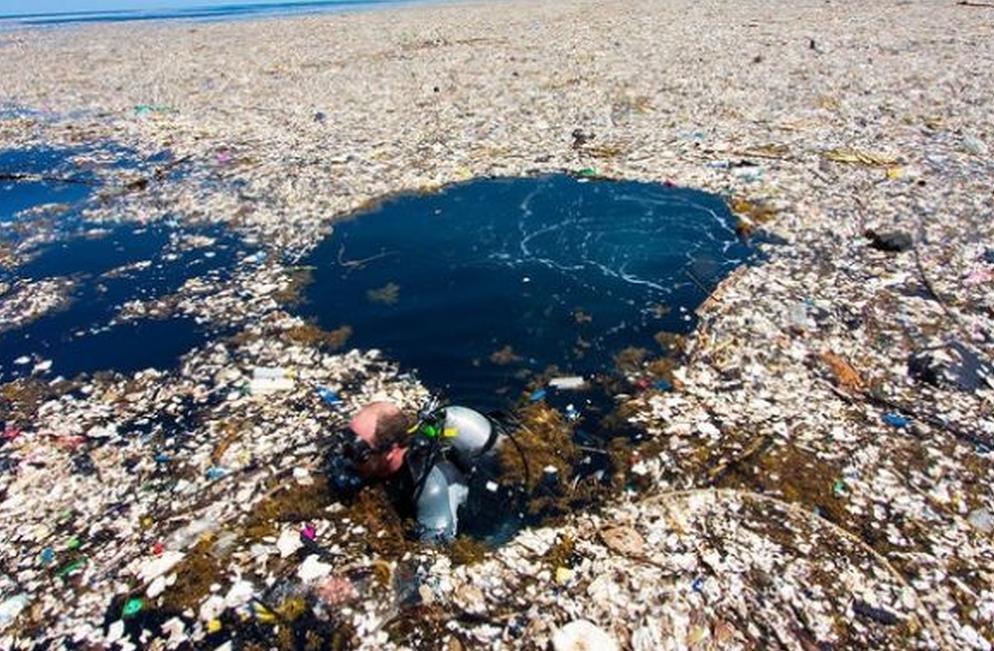 Progettato un enzima mangia plastica