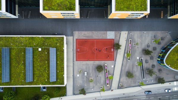 Importanza del verde urbano per ridurre l'effetto isola di calore