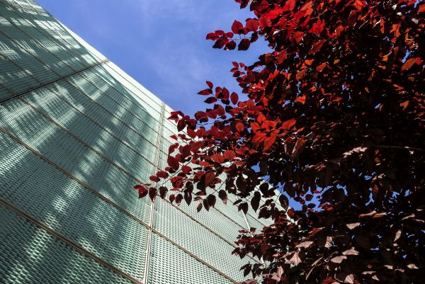 Pannelli in lamiera di rame KME per l'Energy Park di Milano
