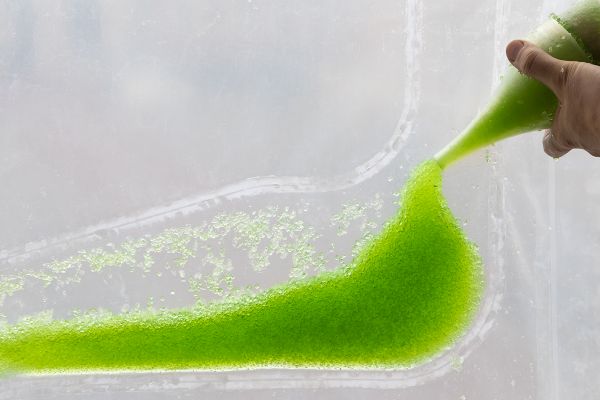 L’introduzione delle microalghe nella bioplastica della facciata (foto ©Naaro)