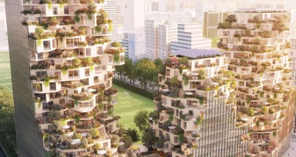 Amsterdam Valley, un oasi verde nel quartiere commerciale