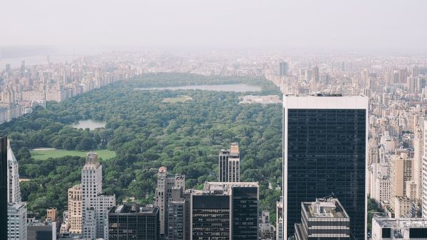Central Park, polmone verde di New York 