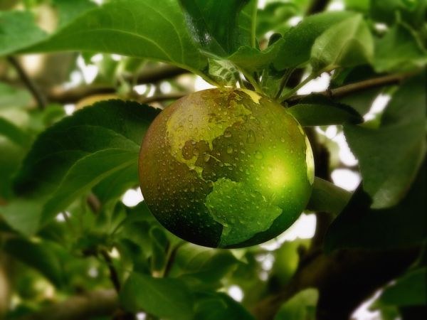 Le buone notizie su ambiente ed energia che hanno caratterizzato il 2018