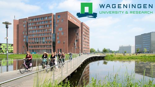 L'Ateneo di Wageningen, nei Paesi Bassi, il più sostenibile al mondo