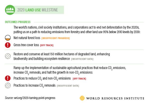 Porre fine alla deforestazione entro il 2020