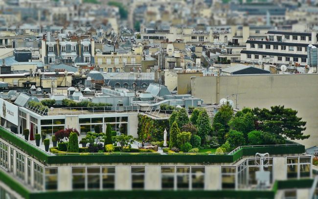 Cosa sono i Roof Garden: trasformare le città in luoghi sempre più verdi