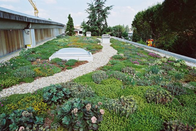 I vantaggi dei giardini pesnsili per l'ambiente e la salute