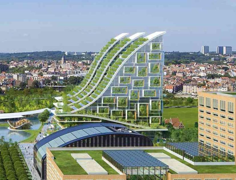 Le foreste tropicali che caratterizzano l'eco quartiere Tour & Taxis