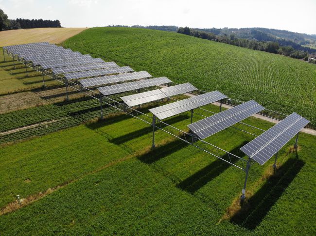 Con l'agrovoltaico buoni risultati per l'ambiente e i raccolti