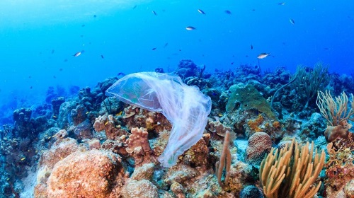 Sacchetto di plastica in mare
