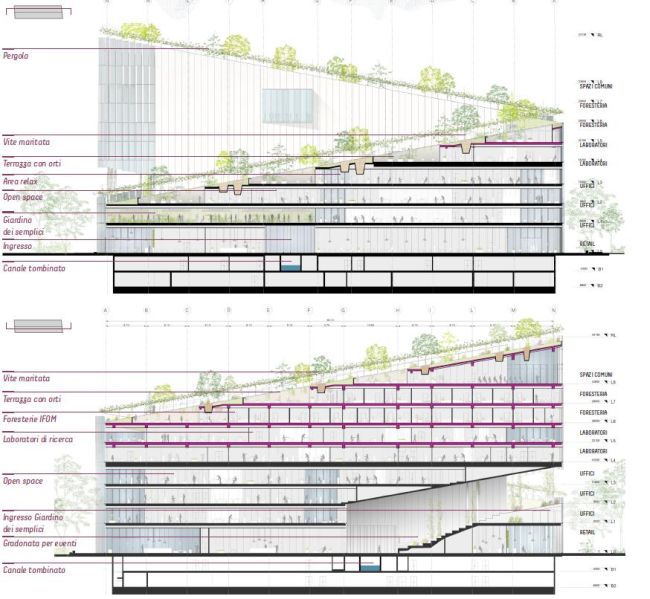 Sezione Nord e Sud del progetto Vitae a Milano