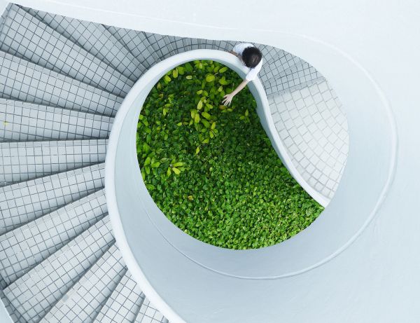 Edifici “green” nel mondo, sostenibilità e impatto ambientale: 