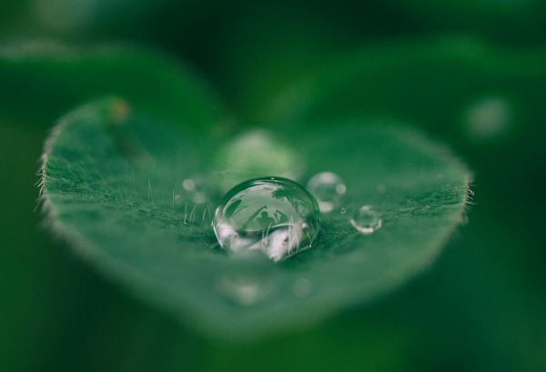 Sostenibilità e impatto ambientale: perché costruire edifici “green”