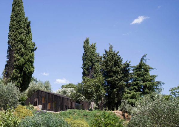 La Casetta nell'Oliveto, primo classificato Premio Architettura Toscana (PAT)
