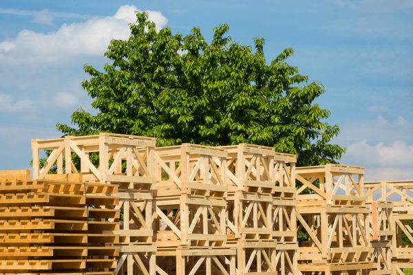 Riciclare legno, una pratica green che crea lavoro. I dati del consorzio Rilegno