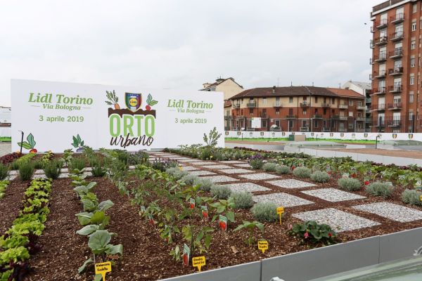 A Torino il centro commerciale Lidl più sostenibile d’Italia, con orti sui tetti