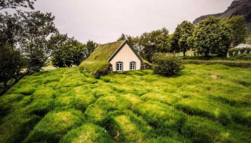 Edifici con tetti verdi islandesi