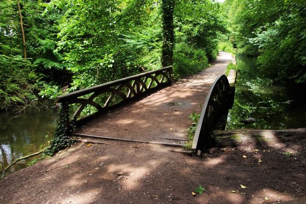 L'importanza del verde urbano per la salubrità dell'aria