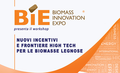 Nuovi incentivi e frontiere high tech per le biomasse legnose