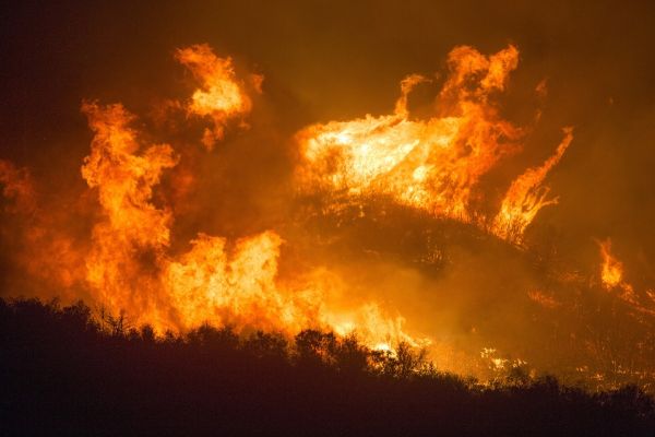 Gli incendi di origine dolosa che hanno distrutto l'Amazzonia