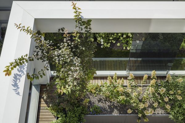 Casa sul Parco a Fidenza: giardini pensili in ogni piano