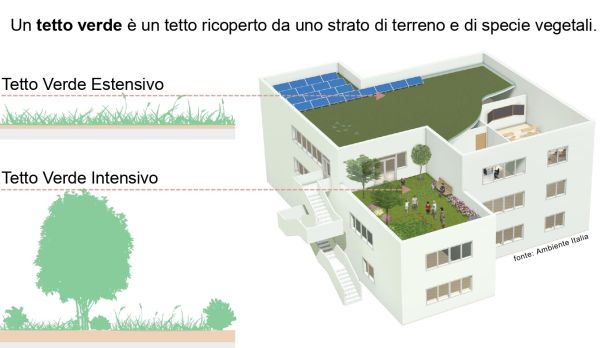 Definizione di tetto verde 