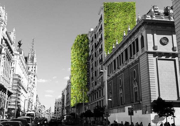 Parete verde per il progetto Madrid+Natural (credits Arup)