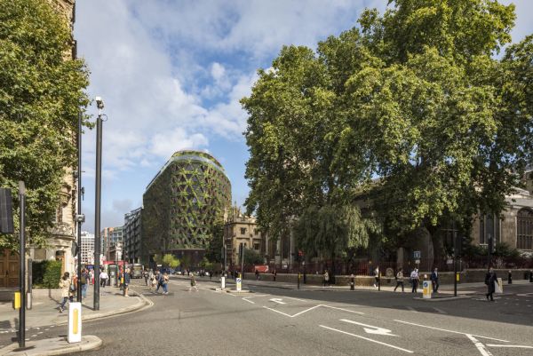 A Londra La più grande parete verde in Europa assorbirà 8t di inquinamento atmosferico