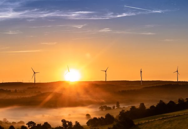 Nel 2019 le rinnovabili hanno soddisfatto il 35,3% della domanda elettrica