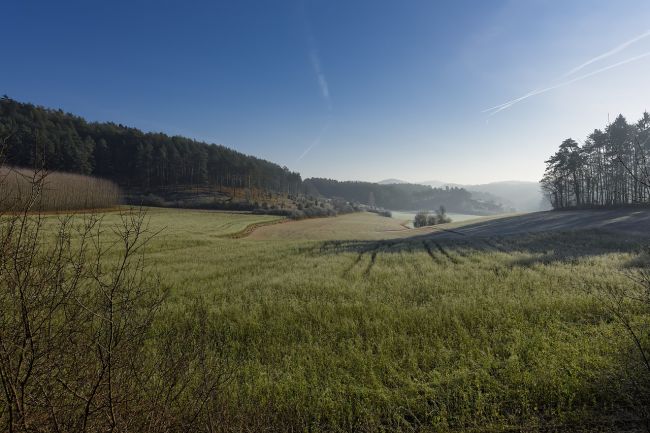 Clima: perché puntare su verde urbano, bioedilizia ed economia circolare