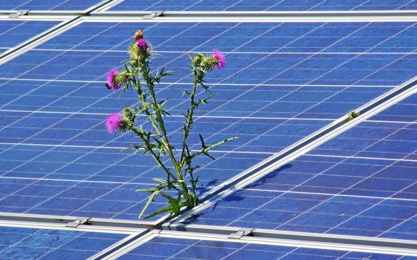 Spagna leader del fotovoltaico in Europa nel 2019