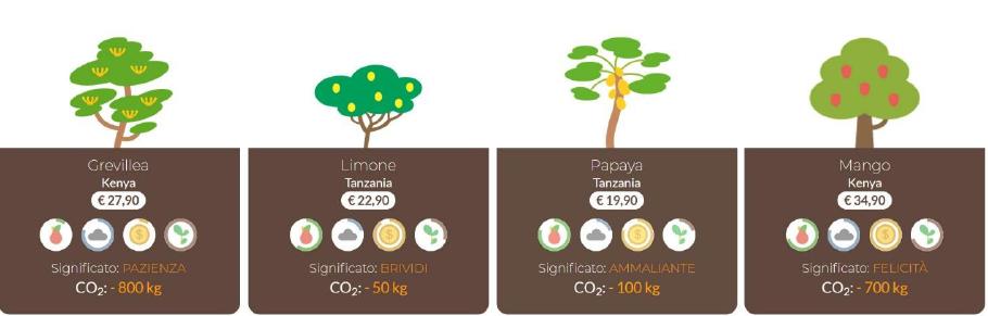 Il progetto Treedom e la riforestazione