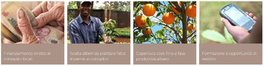 Il progetto treedom per la riforestazione e i benefici socio economici